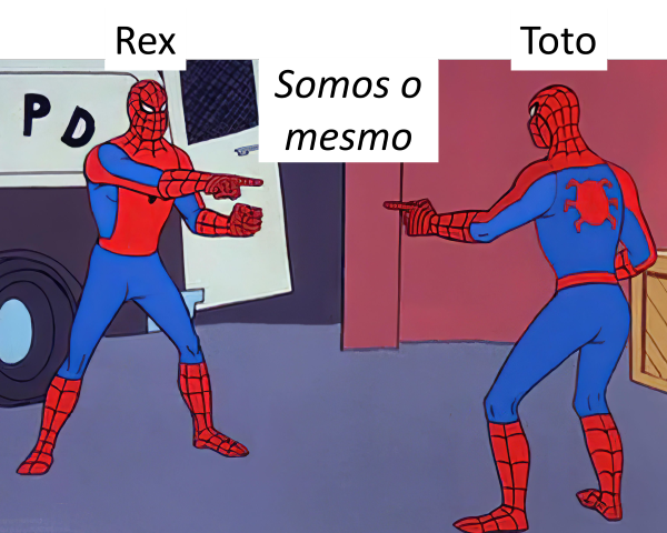 Homemaranha